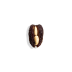 Medjool Dates stuffed with Cashew